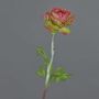 Konstgjord ranunkel ELORIO, cerise-grön, 50cm, Ø10cm
