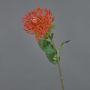 Konstgjord blomma, nålkudde Protea HERVAS, röd-orange, 70cm, Ø12cm