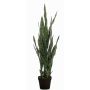 Konstgjord Sansevieria ELENE, grön, 95cm