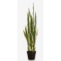 Konstgjord Sansevieria ELENE, grön-gul, 95cm