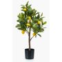 Konstgjord citronträd ALLANDE med frukter, 70cm