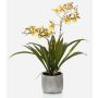 Konstgjord Oncidium-orkidé COLUNGA i keramikkruka, gul-orange, 45cm