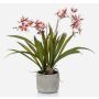 Konstgjord Oncidium-orkidé COLUNGA i keramikkruka, rosa-violett, 45cm