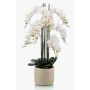 Konstgjord orkidé Phalaenopsis CECILE, keramikkruka, vit, 100cm