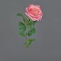 Konstblomma ros PEZOS, rosa-cerise, 60cm, Ø10cm