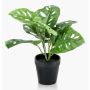 Konstgjord Philodendron Monstera adansonii PUYA, 30cm
