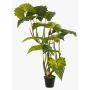 Konstgjord växt Colocasia SOTU, grön, 175cm