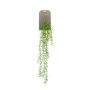 Konstgjord suckulent Rhipsalis hängande POMER på stödpinne, grön, 90cm
