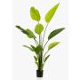Konstgjord strelitzia BEDAR, grön, 150cm