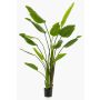 Konstgjord strelitzia BEDAR, grön, 180cm