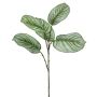 Konstgjord gren av Calathea Orbifolia ALNIYAT, grön-vit, 75cm