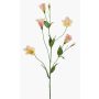 Konstgjord blomma Lisianthus PAZAN, rosa-krämfärgad, 70cm, Ø3-5cm