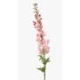 Stor konstblomma, riddarsporre SZILVIA, rosa, 130cm