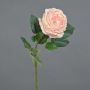 Konstros Kohl-Rose CATINCA, blekrosa, 60cm, Ø9cm
