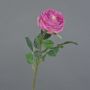 Konstros Kohl-Rose CATINCA, rosa, 60cm, Ø9cm