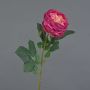 Konstros Kohl-Rose CATINCA, cerise-rosa, 60cm, Ø9cm
