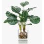Konstväxt Calathea Orbifolia AGINA i glaskruka, grön-vit, 45cm