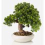 Konstgjord bonsai-lärk MIRSANDA i bonsaiskål, 35cm
