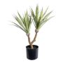 Konstgjord suckulent Agave furcraea gigantea ZIFTE, konststam, grön, 60cm