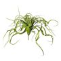Konstgjord suckulent Tillandsia streptophylla KRIFT, på pinne, grön, 70cm