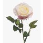 Konstgjord ros BRUNETTE, vit-rosa, 70cm, Ø11cm