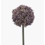 Konstgjord allium TUXLON, lila, 75cm