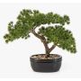 Konstgjord bonsai-tall KANYA i planteringsskål, 25cm