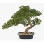Konstgjord bonsai-tall KANYA i planteringsskål, 45cm