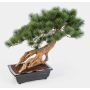 Konstgjord bonsai-tall SARINU i planteringsskål, 55cm