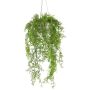 Dekorativ hängande mossormbunk KLUHER, cementkruka, grön, 90cm