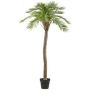 Konstgjord Macauba-palm HADLEY, dekorativ kruka, 235cm