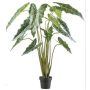 Konstväxt Alocasia Sanderiana NARLO, dekorativ kruka, grön, 160cm