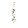 Dekorativ äppelblomskvist KROVER med blommor, vit, 80cm, Ø3-5cm