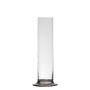 Enstaka blomvas ABIRAMY i glas, med fot, klar, 15cm, Ø6cm