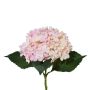Konstgjord hortensia ZURTO, ljusrosa, 55cm
