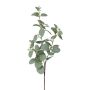 Dekorativ kvist av eukalyptus PLAVEN med blommor, grön, 70cm