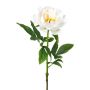 Konstblomma, pion PEFIN, vit, 50cm