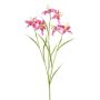 Konstgjord liljekvist PLOMIX, cerise-vit, 65cm, Ø8cm