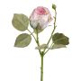 Konstblomma ros ZORKLIN, rosa-krämfärgad, 45cm, Ø6,5cm