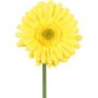 Konstgjord gerbera TUNZA, gul, 50cm