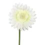 Konstgjord blomma Gerbera TUNZA, krämfärgad, 50cm