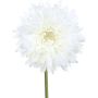 Konstgjord blomma, gerbera MOLZA, vit, 60cm
