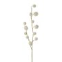 Konstgjord kvist med ballong-spindelblomma YANIKA, frukter, vit, 105cm
