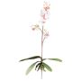 Konstgjord Phalaenopsis-orkidé MALZA, stödpinne, rötter, vit-lila, 55cm