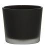 Maxi-te-ljusglas ALENA FROST, svart mat, 9cm, Ø10cm