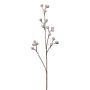 Konstgjord eukalyptusgren SLOHER med frukter, vinröd, 65cm