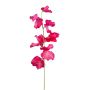 Konstgjord blomma Lathyrus latifolius TERRAT, cerise, 50cm