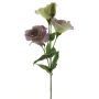 Konstgjord lisianthus ALARONA, lila-grön, 55cm, Ø6-8cm