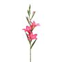 Konstblomma gladiolus LUNDYL, rosa, 70cm