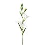 Konstblomma gladiolus LUNDYL, vit, 70cm